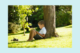 A young child sits under a tree. They are wearing shorts and a Tshirt. Their shoes are nearby. They are reading a book.