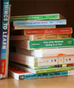 Literacy Advisory Council