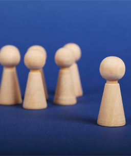 Senior Leadership Council