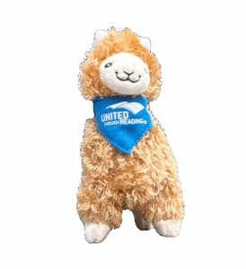llama_toy