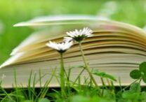 A book lying in the grass with flowers